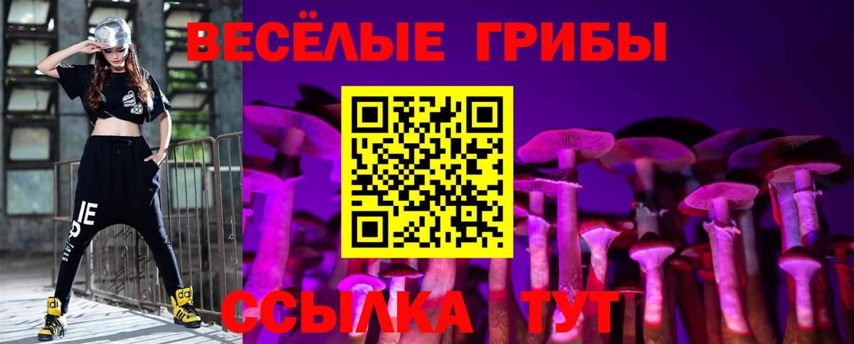 Галлюциногенные грибы ЛСД  Галлюциногенные грибы Psilocybine cubensis  Менделеевск  Вход с VPN 