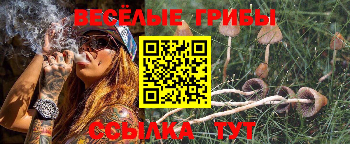 Псилоцибиновые грибы прущие грибы Менделеевск